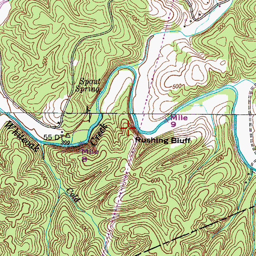 Topographic Map of Rushing Bluff, TN