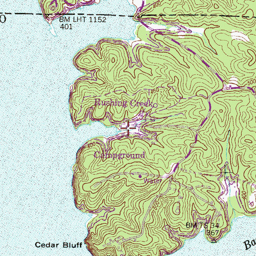 Topographic Map of Rushing Creek Campground, TN