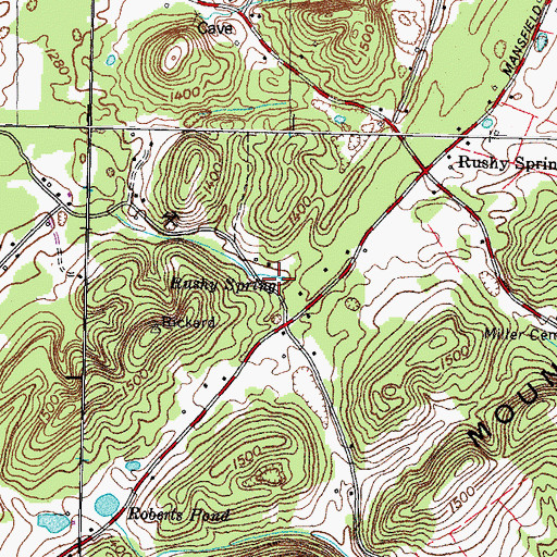 Topographic Map of Rushy Spring, TN