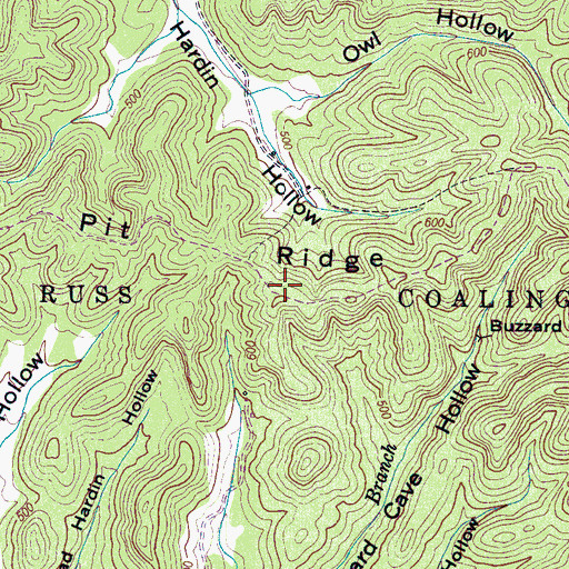 Topographic Map of Russ Coalings, TN