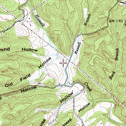 Topographic Map of Russell Branch, TN