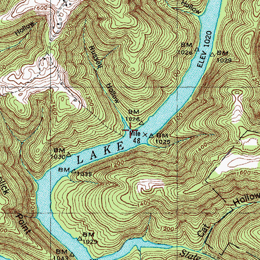 Topographic Map of Russell Hollow, TN