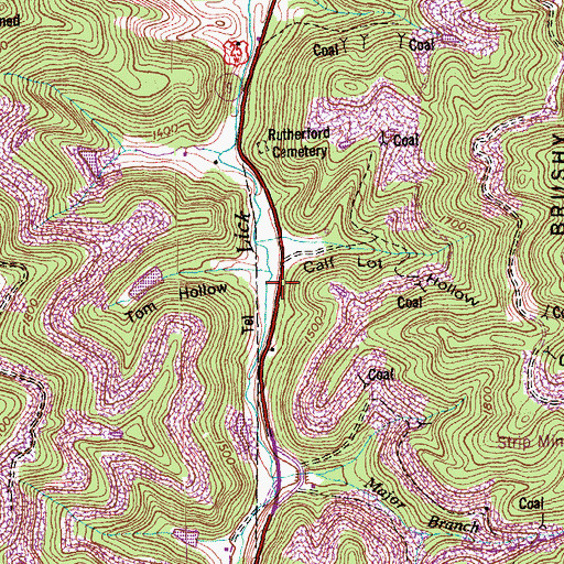 Topographic Map of Rutherford Cemetery, TN