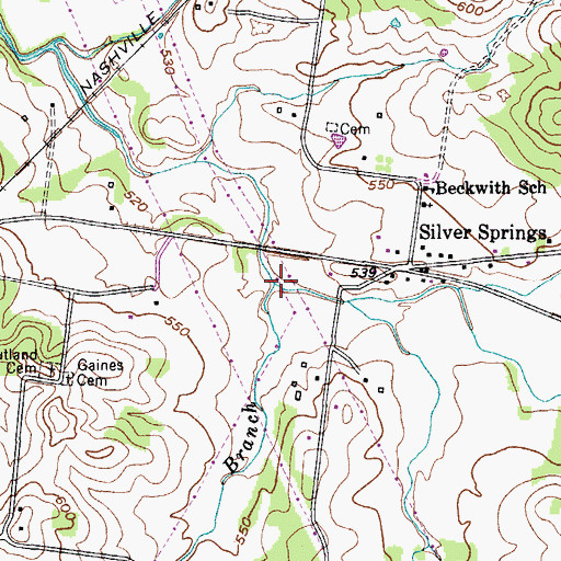 Topographic Map of Rutland Branch, TN