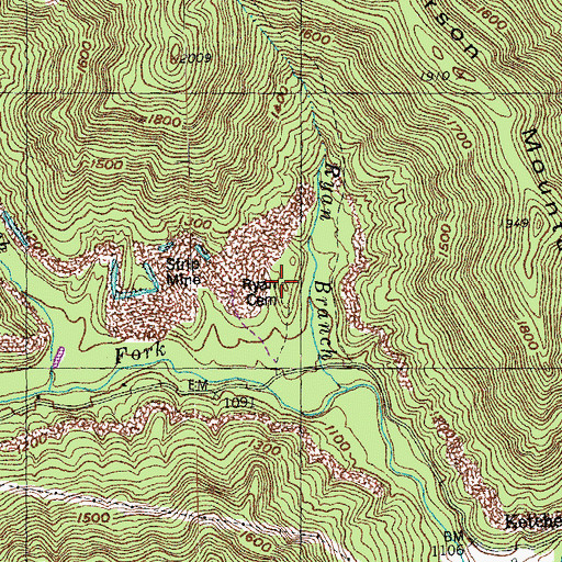 Topographic Map of Ryan Cemetery, TN
