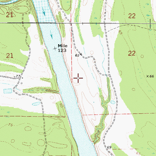 Topographic Map of Ryals Lake, AL