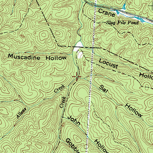 Topographic Map of Sal Hollow, TN