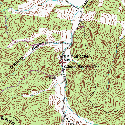 Topographic Map of Salmon Branch Church, TN