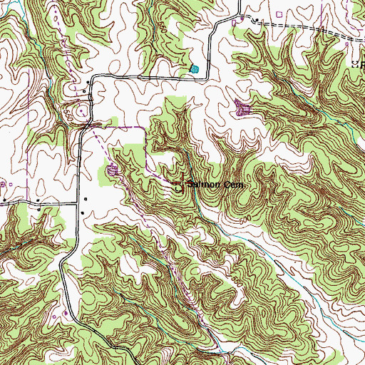 Topographic Map of Salmon Cemetery, TN