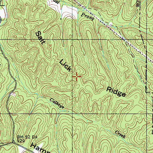 Topographic Map of Salt Lick Ridge, TN