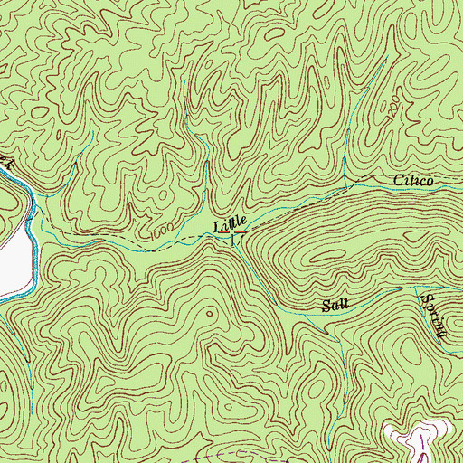Topographic Map of Salt Spring Branch, TN