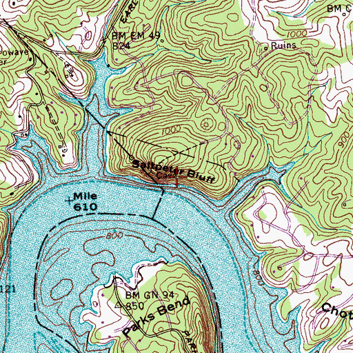 Topographic Map of Saltpeter Bluff, TN