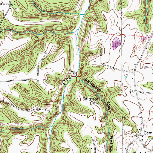 Topographic Map of Saltpeter Cave Hollow, TN