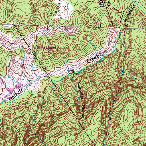 Topographic Map of Saltpeter Hollow, TN