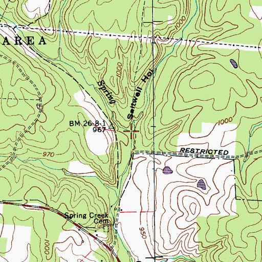 Topographic Map of Saltwell Hollow, TN