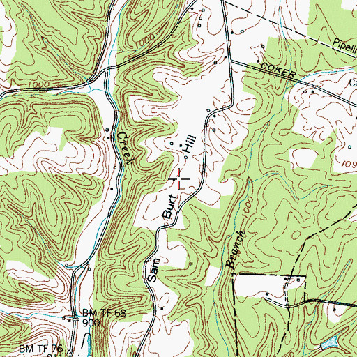 Topographic Map of Sam Burt Hill, TN