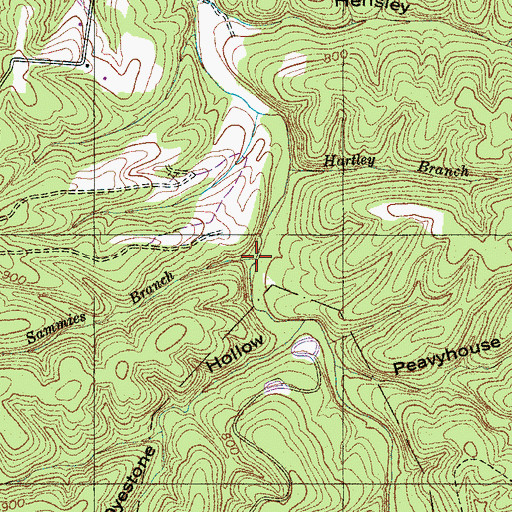 Topographic Map of Sammies Branch, TN