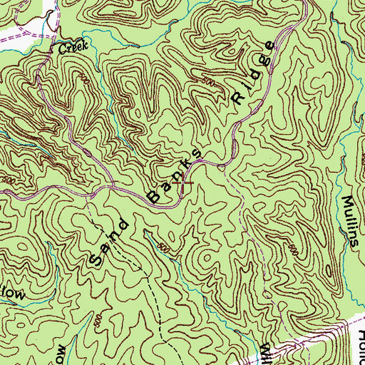 Topographic Map of Sand Banks Ridge, TN