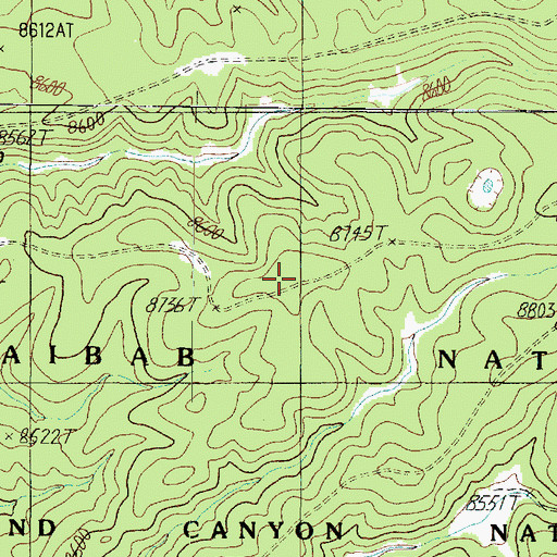 Topographic Map of Two Springs Ridge, AZ