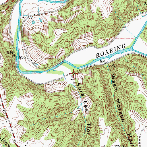 Topographic Map of Sara Lee Hollow, TN