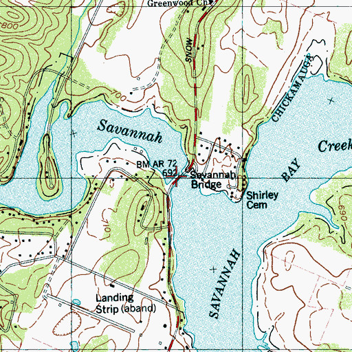 Topographic Map of Savannah Bridge, TN