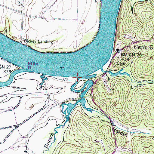 Topographic Map of Sawmill Branch, TN