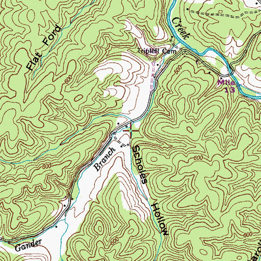 Topographic Map of Scholes Hollow, TN