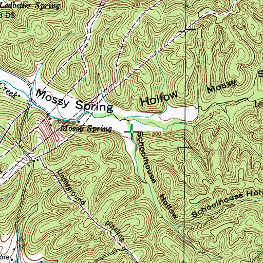Topographic Map of Schoolhouse Hollow, TN