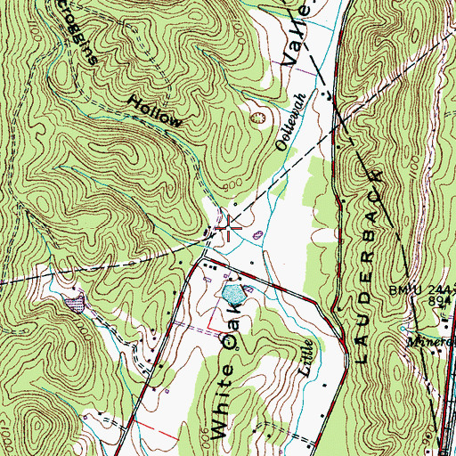 Topographic Map of Scroggins Hollow, TN