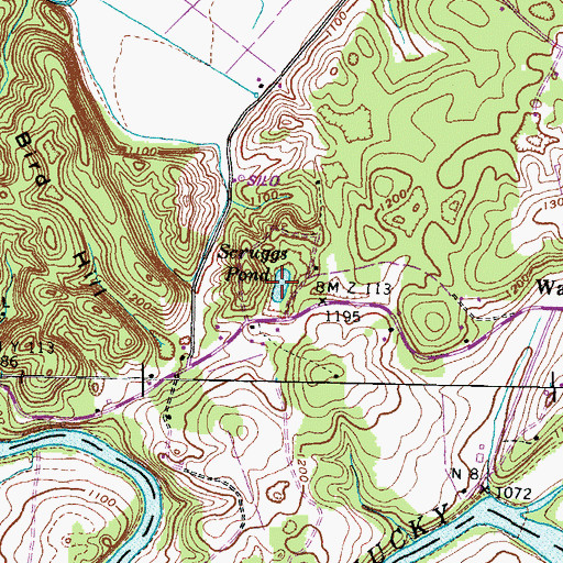 Topographic Map of Scruggs Pond, TN