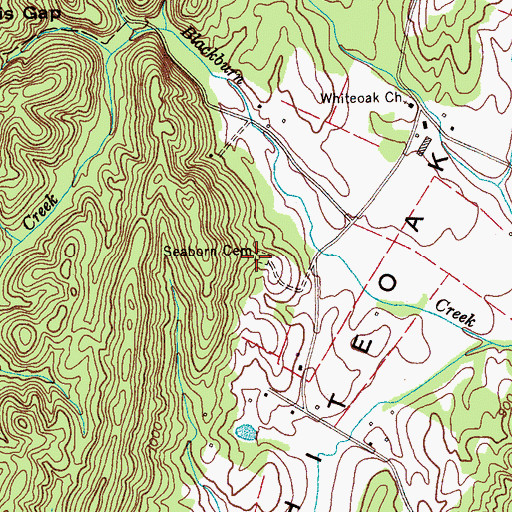 Topographic Map of Seaborn Cemetery, TN