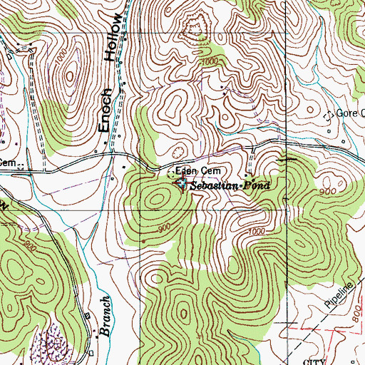 Topographic Map of Sebastian Pond, TN