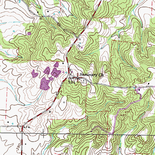 Topographic Map of Seminary Church, TN