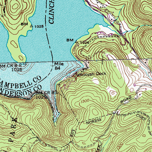 Topographic Map of Sequoyah Dock, TN