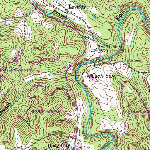 Topographic Map of Service Branch, TN