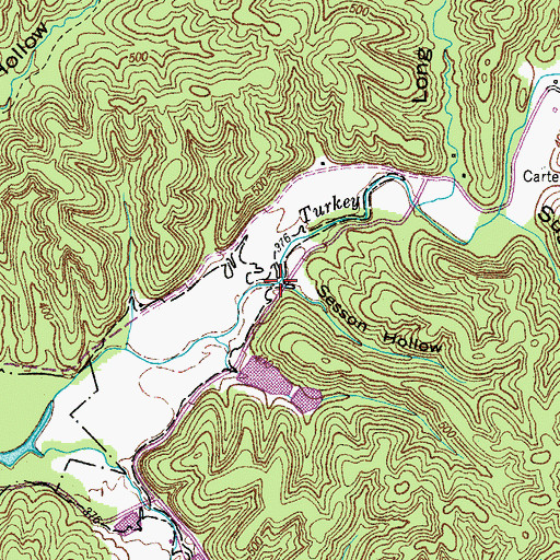 Topographic Map of Sesson Hollow, TN