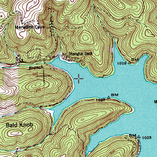 Topographic Map of Shanghai Branch, TN