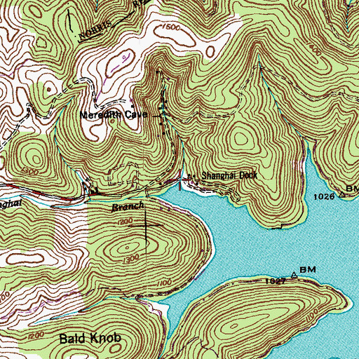 Topographic Map of Shanghai Dock, TN