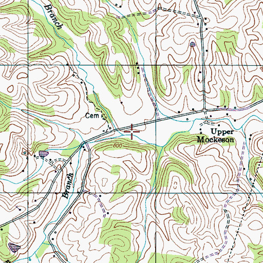 Topographic Map of Shannon Branch, TN