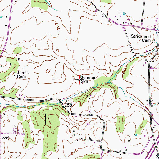 Topographic Map of Shannon Cemetery, TN