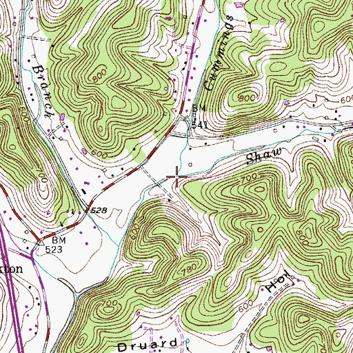 Topographic Map of Shaw Branch, TN