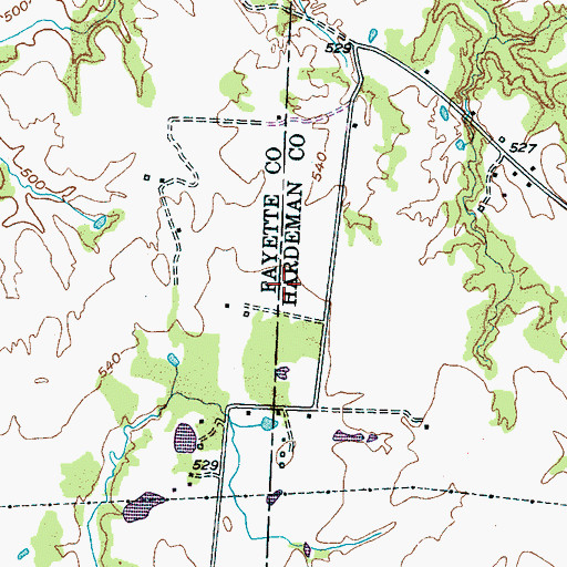 Topographic Map of Wings Field, TN