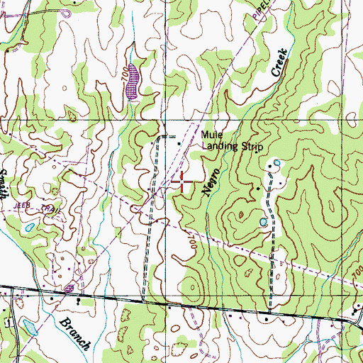 Topographic Map of Mule Patch Airport (historical), TN