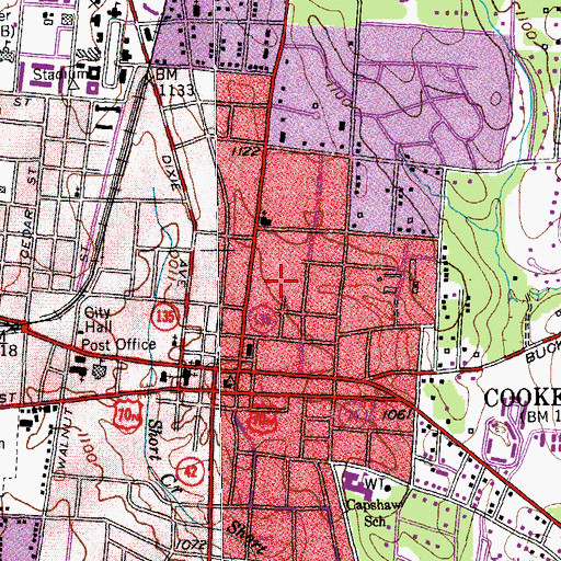 Topographic Map of Browne Airport (historical), TN