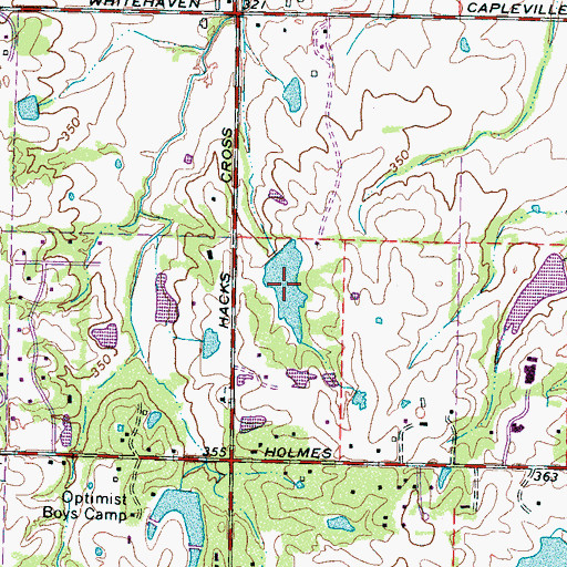 Topographic Map of Jamieson Lake, TN