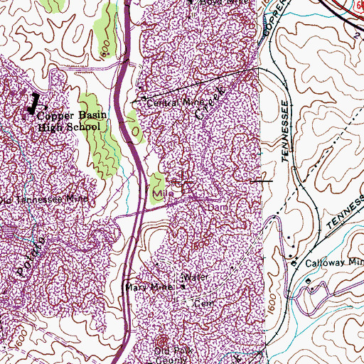 Topographic Map of City Services Diversion Lake, TN