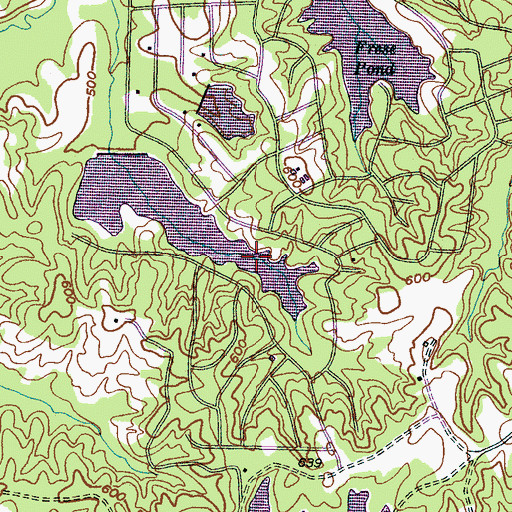 Topographic Map of Spring Lake Dam, TN
