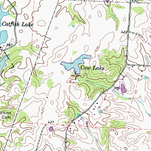 Topographic Map of Cow Lake Dam, TN