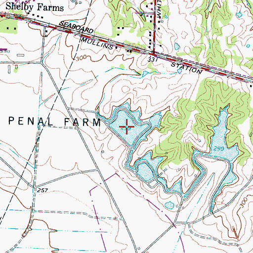 Topographic Map of Penal Farm Lake Number Three, TN