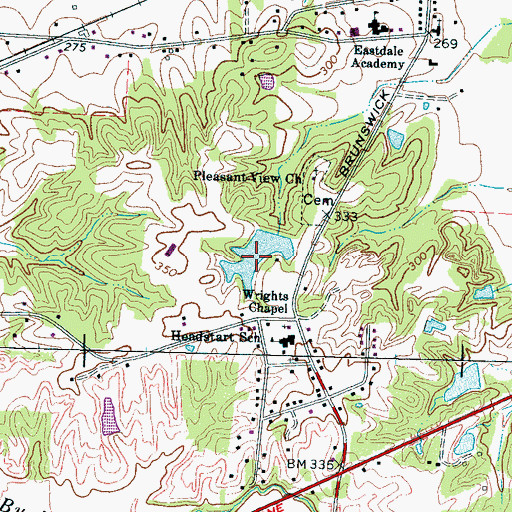 Topographic Map of Downing Lake, TN